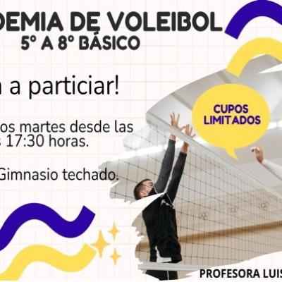 Academia Voleibol 2